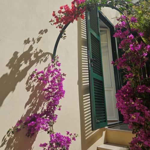 Home Rome Borsieri, Rom (Foto 8)