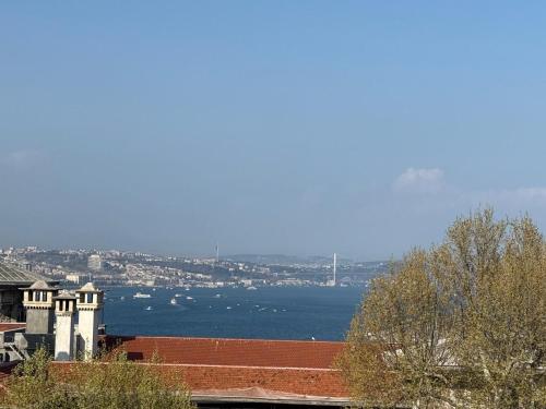 Foto - New Florenta Hotel