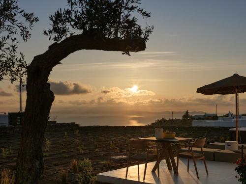 Nival Boutique Hotel - image 13