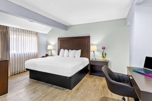 King Suite with Two King Beds and Sofa Bed