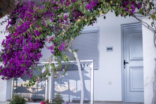 Hotel Jaroal - image 11