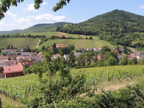 Ferienwohnung "Dorfblick" in 萊斯惠勒