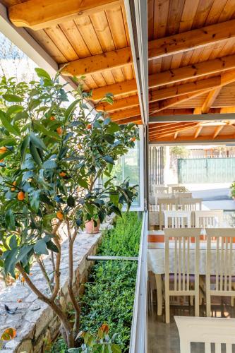 บริการและสิ่งอำนวยความสะดวก, Aleksander ApartHotel in คซามิล