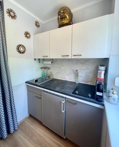 Vienna Business-Apartment 1-6 months