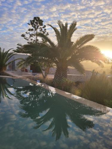 les FRANGINESauMAROC in Bou Mkila