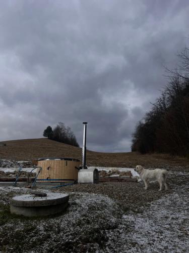 Apartamenty Pod Skałą