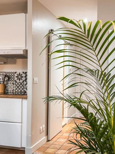 廚房, Studio cosy Villefranche-Sur-Saône (Studio cosy Villefranche-Sur-Saone) in 索恩河畔維爾弗朗施