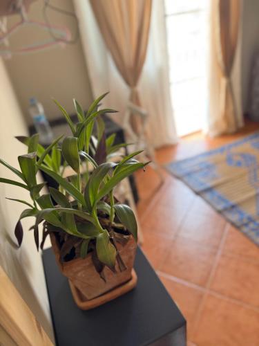 1 queen bed