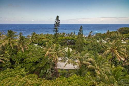 Kehena Treetop Bungalow in Kehena (HI)