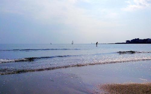 スポーツ/アクティビティ