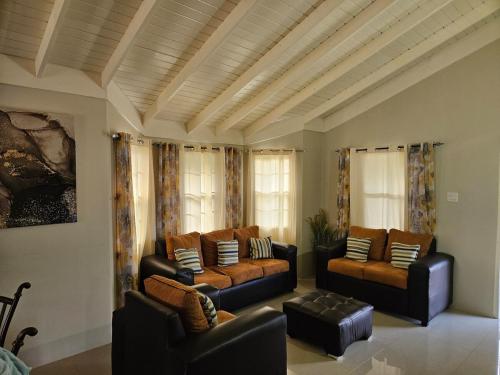 FLEX VILLA all inclusive JA in فالماوث