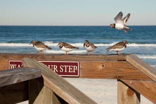 Hacienda del Sol II - 208 - image 2