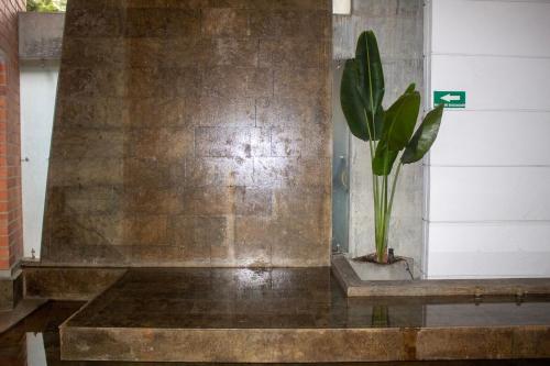 Apartment near Provence pool, gym, views and WiFi, Medellín (photo 6)