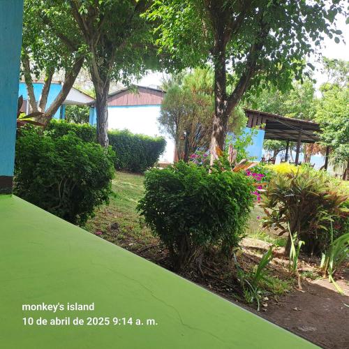 Monkey's Island Hostel