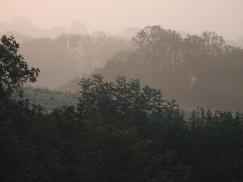 Petrock Holiday Cottages