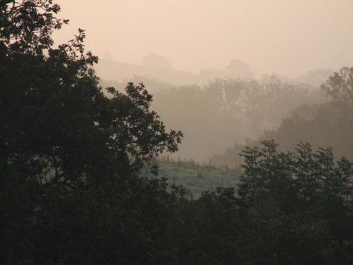 Petrock Holiday Cottages