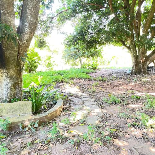 Alojamiento Sol y Luna in Robore