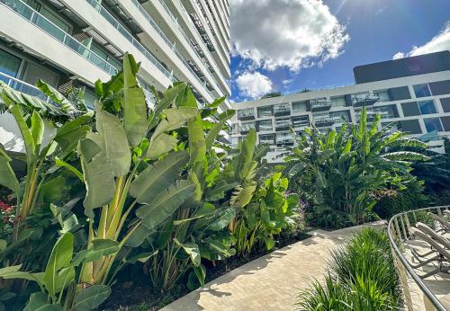 RentUp - Palermo con amenidades de lujo balcon piscinas gym y spa, Buenos Aires (foto 8)