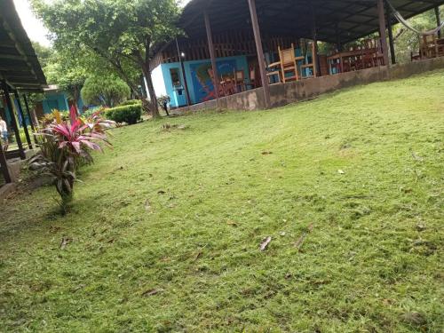 Monkey's Island Hostel