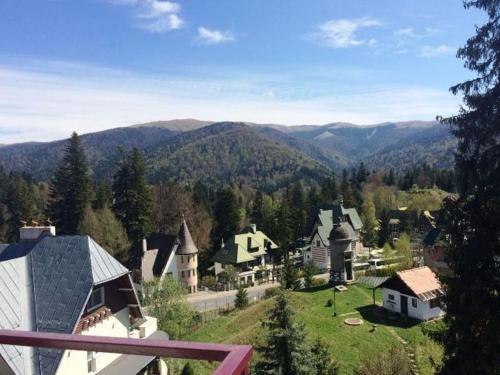 Hotel Marea Neagra - image 10