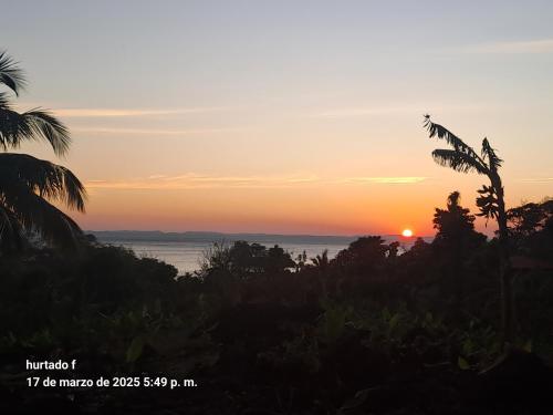 Monkey's Island Hostel