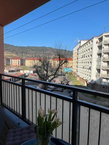 ระเบียง/ชานเรือน, apartmán Sirka Sušice (apartman Sirka Susice) in ซัสไซส์