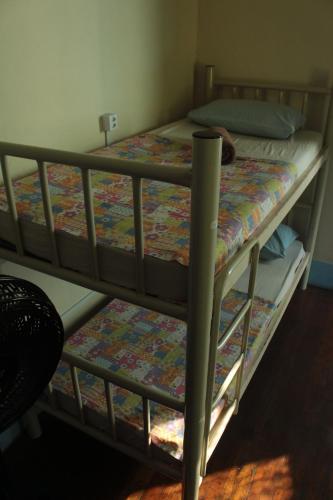 Bunk Bed in Female Dormitory Room   room in Hostel Cadê Teresa
