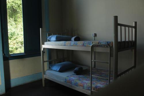 Bunk Bed in Female Dormitory Room   image 4