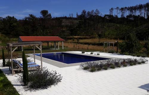 Orange Olives - Quinta Chao de Galizes in Oliveira Do Hospital