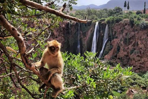 Welcome Hôtel Dijon (Welcome Hotel Dijon) in Ouzoud