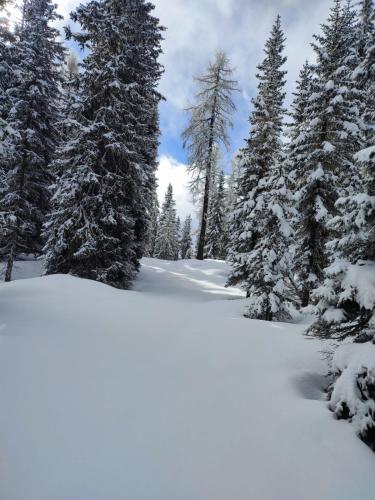 Ferienwohnung Fam Alfons Geiler in Heinfels