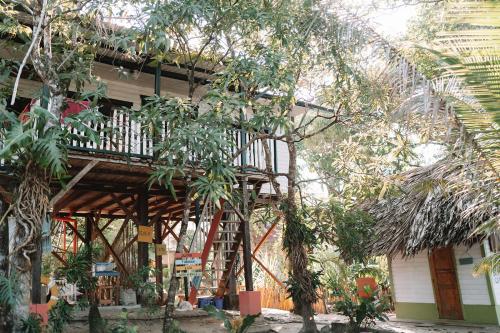 Coco Bamboo Beach Camp in Livingston