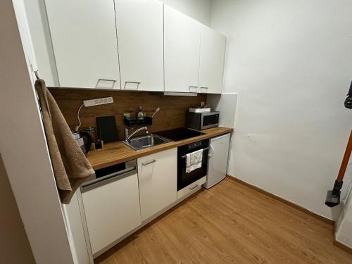 Cozy flat near main station & center, Vídeň (fotografie 4)