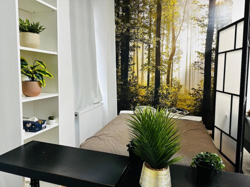 Cozy flat near main station & center, Vídeň (fotografie 8)