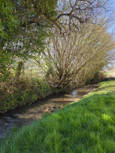 Kilátás, Les Roises in Dun Sur Meuse