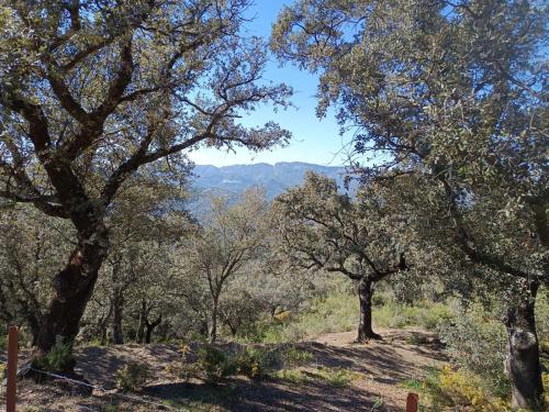 Finca El Cerro, Ronda (photo 9)