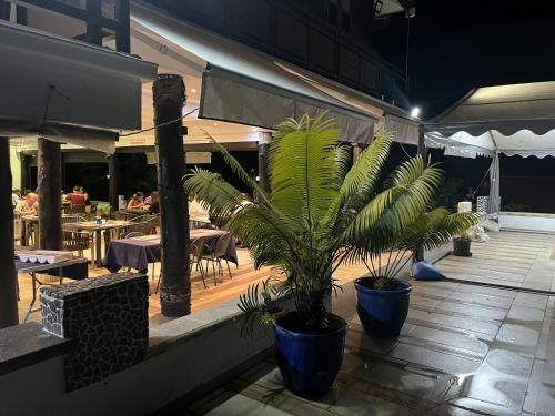 烏鴉巢度假村 (Crows Nest Resort) in 珊瑚海岸