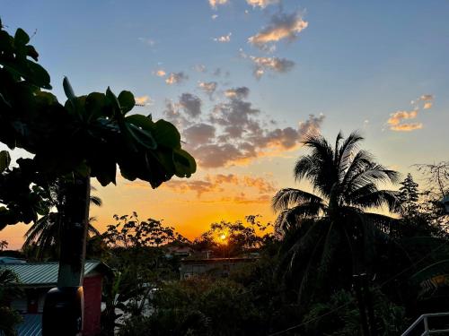 Casa Ricky's in Orange Walk