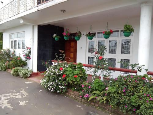 Olive Grand Guest House