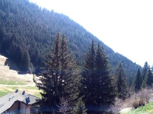 À louer : Appartement cosy 2 pièces cabine avec vue montagne - FR-1-573-138 (A louer : Appartement cosy 2 pieces cabine avec vue montagne - FR-1-573-138) in Le Biot
