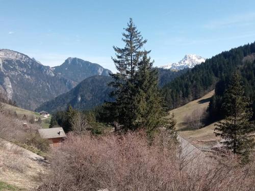 À louer : Appartement cosy 2 pièces cabine avec vue montagne - FR-1-573-138 (A louer : Appartement cosy 2 pieces cabine avec vue montagne - FR-1-573-138) in Le Biot