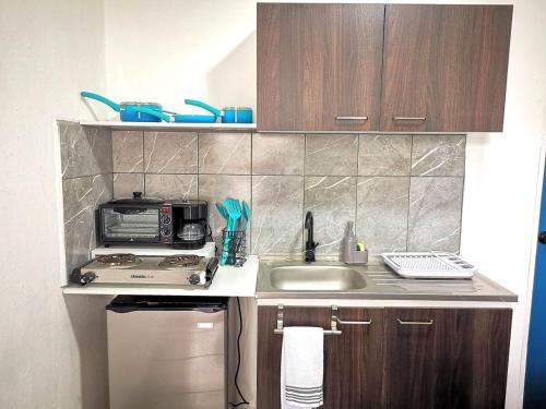 One-Bedroom Apartment image 5