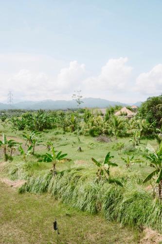 Three Palms Surf & Stay Medewi near Kedai Jukung medewi food corner