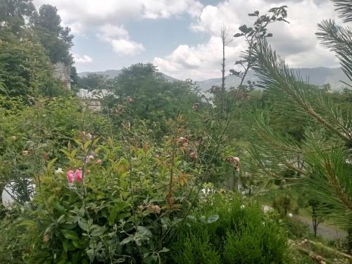 Bhurban Apartamentos Murree (Bhurban Apartments Murree) in Bhurban