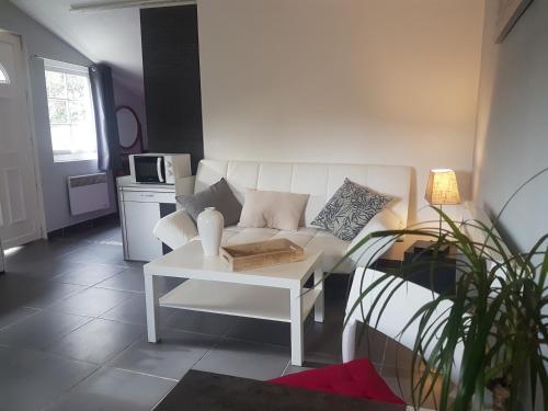 Ambition Zen Presles