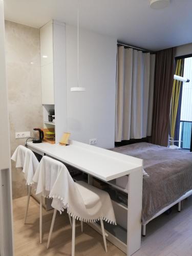 White small studio, Batumi (foto 7)