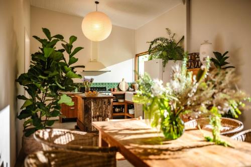 Off-Grid Eco Cabin in Bellingen