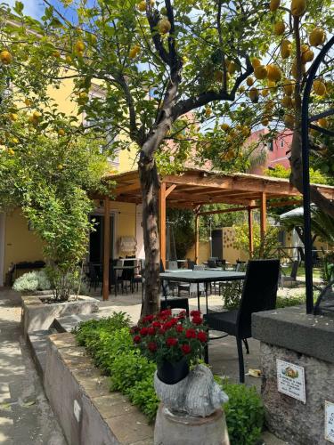 Exterior view of Palazzo Bonaventura 1906