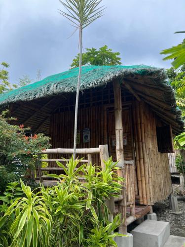 Sharky Hostel Oslob – Oslob, IL