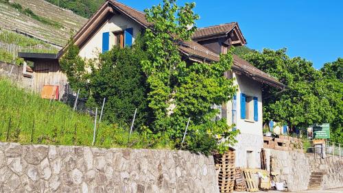 "Les Échalas" La capite, domaine de Calamin ("Les Echalas" La capite, domaine de Calamin) in 柯里